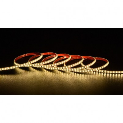 大同免电源220V-2835-120/30-0.5W-10CM/剪-单排-小弧形