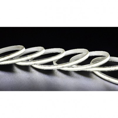 大同220V-COB-420/70-10公分剪-弧形白底拉丝内双色