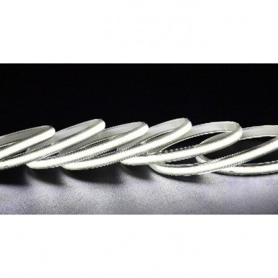 大同220V-COB-288/36-弧形白底拉丝内双色