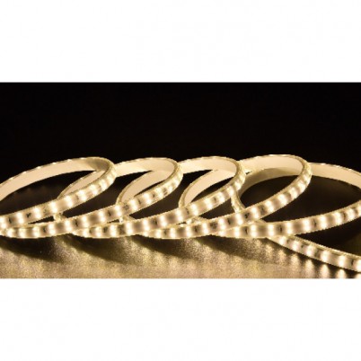 大同220V-2835-120/25-0.5W-正双排-20公分剪-弧形透镜无导线