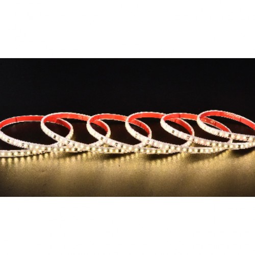 大同免电源220V-2835-120/30-0.2W-10CM/剪-单排-小弧形