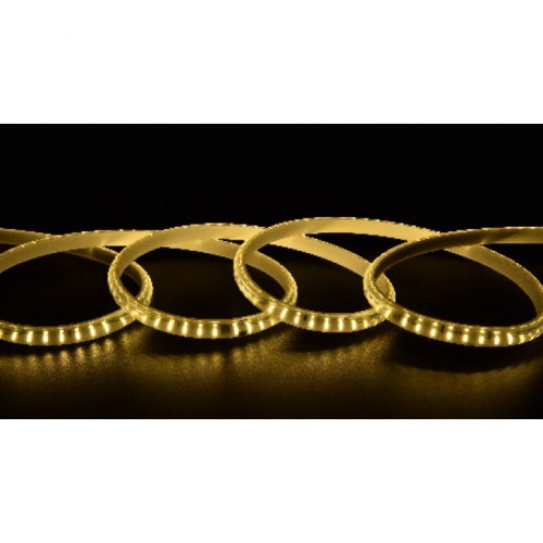 大同220V-2835-180/25-0.5W-正双排-20公分剪-弧形透镜无导线