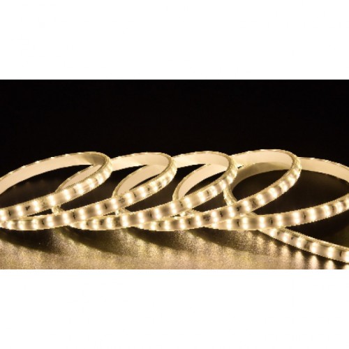 大同220V-2835-120/25-0.5W-正双排-20公分剪-弧形透镜无导线