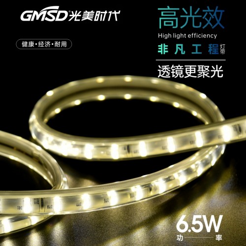 程度非凡工程灯带